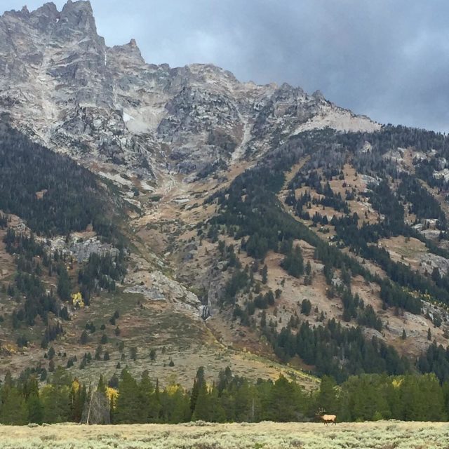 Weve been home for a week and Im ready tohellip