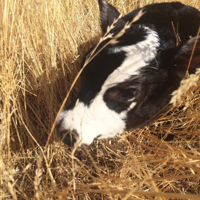 Excuse me My  just exploded into a million pieceshellip