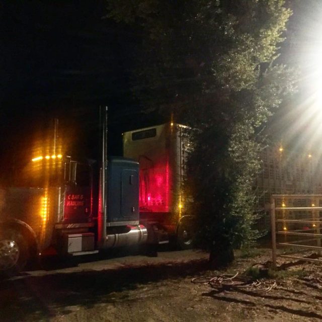 When youre gone for a week and this is whathellip